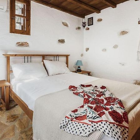 Naxos Alyko Traditional Vacation House "Mitatos" Aliko Beach Dış mekan fotoğraf